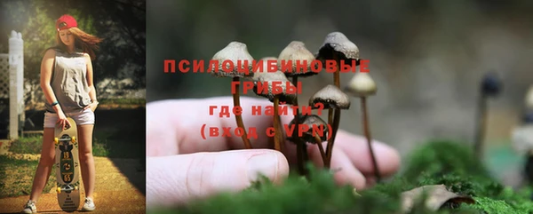 стафф Балахна