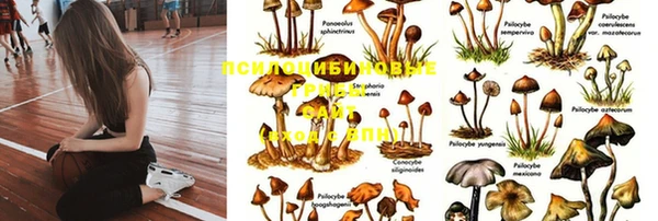 таблы Балабаново