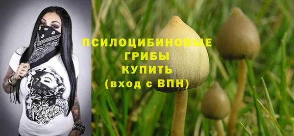 стафф Балахна