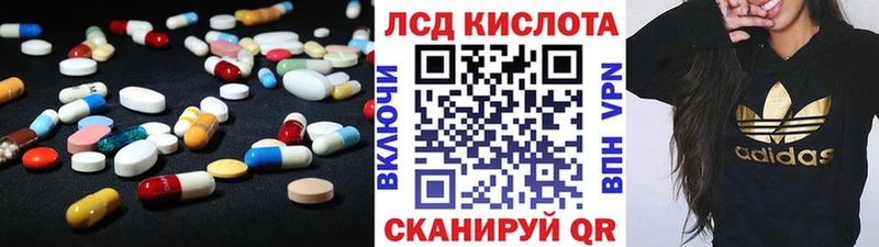 как найти   Нелидово  ЛСД экстази кислота 