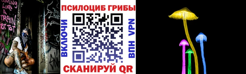 Галлюциногенные грибы Psilocybine cubensis  Нелидово 